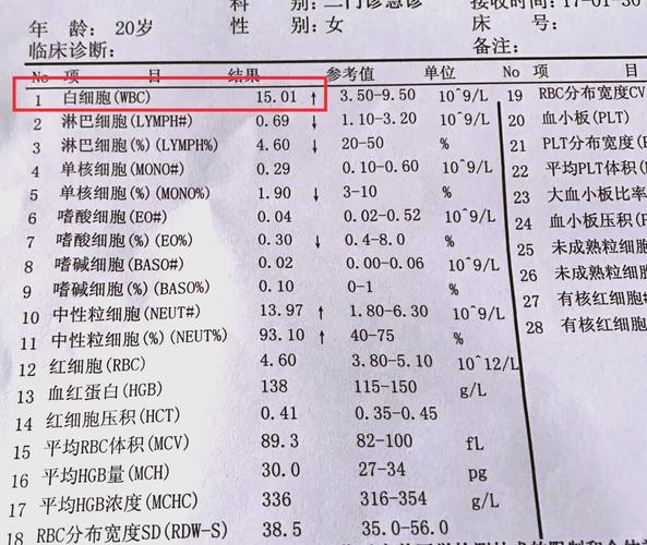 狗狗血常规白细胞高是怎么回事