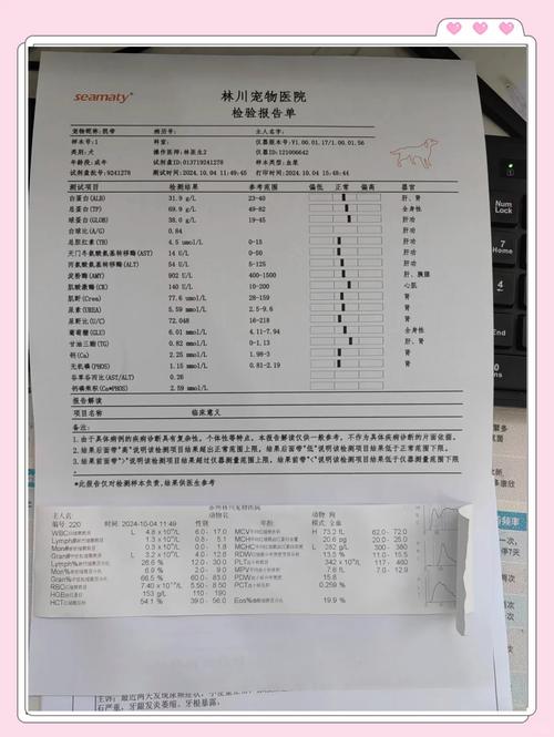 刚买了只狗狗,血检犬瘟细小冠状都没有,但是白细胞偏高,会不会是注射...