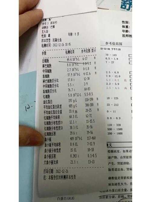 狗狗白细胞高是什么病