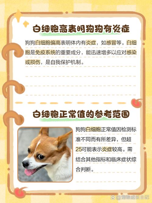 狗狗为什么会得白细胞