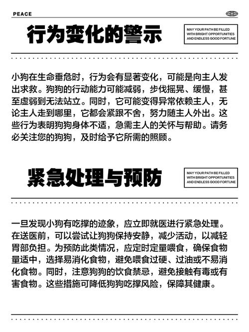 小狗吃撑了后期啥症状