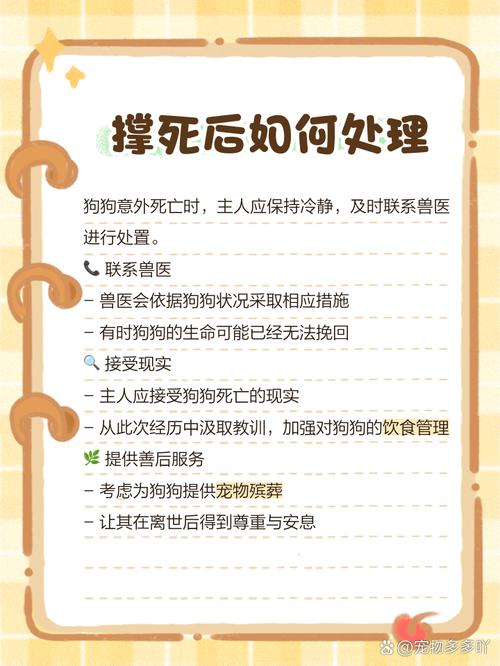 狗狗吃撑了症状