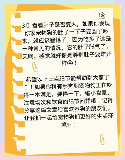 狗狗吃撑了有啥表现?