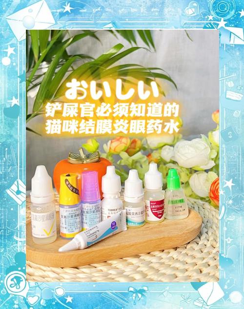 小猫眼睛流脓睁不开用什么眼药水