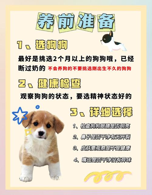 新手养狗需要准备什么