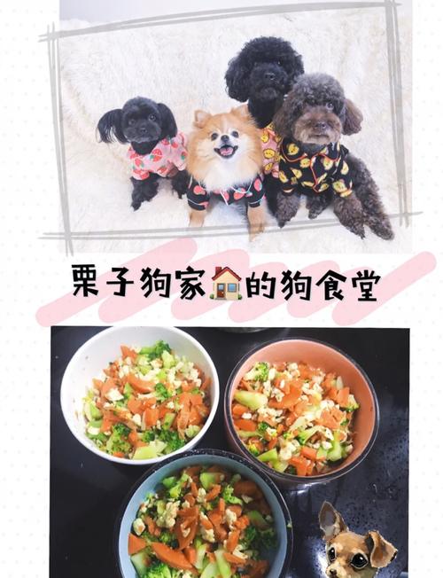 狗狗吃胡萝卜清水煮吗