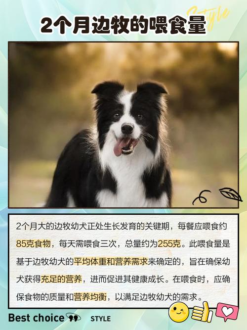狗狗磨牙棒人可以吃吗