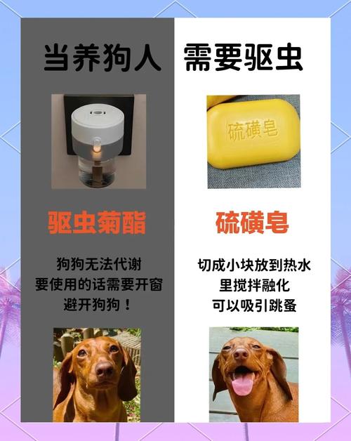 我家小狗狗吃了一点蚊香灰进去,有没有关系