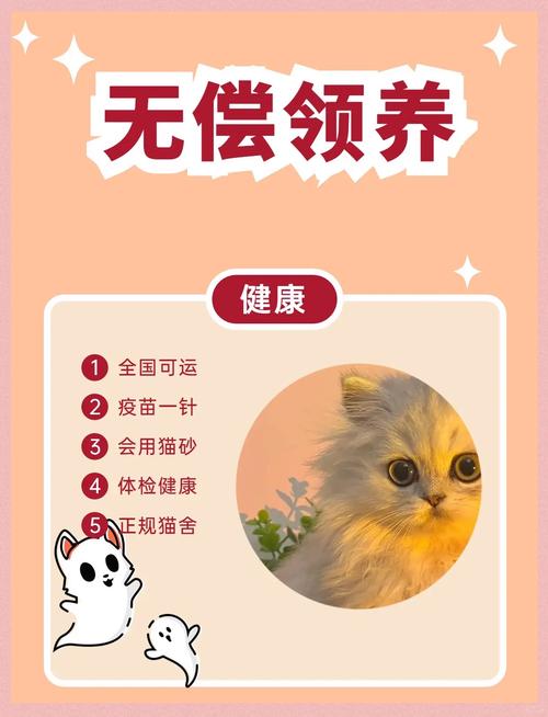 去别人家领养猫咪我要带点什么东西去吗