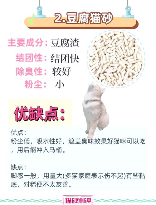 豆腐猫砂被猫吃了注意什么?