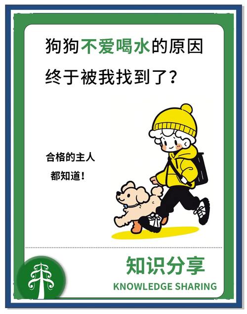 狗狗为什么不喜欢喝水?狗狗不喝水怎么办?