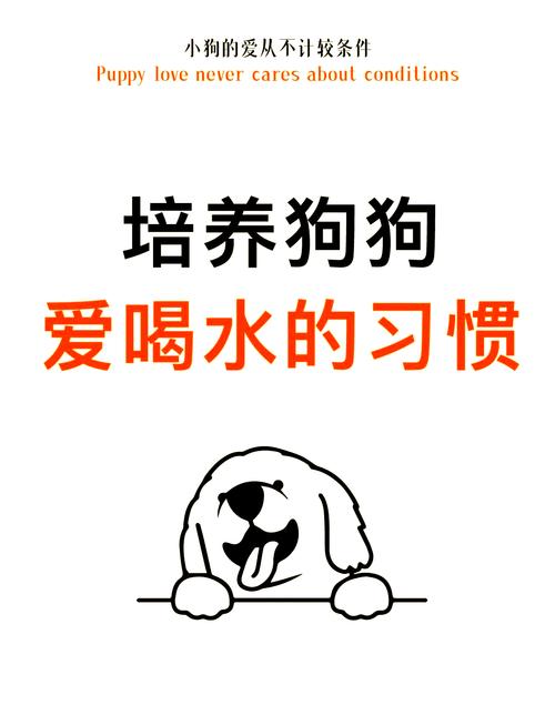 狗狗吃饭正常但是不喝水怎么办?