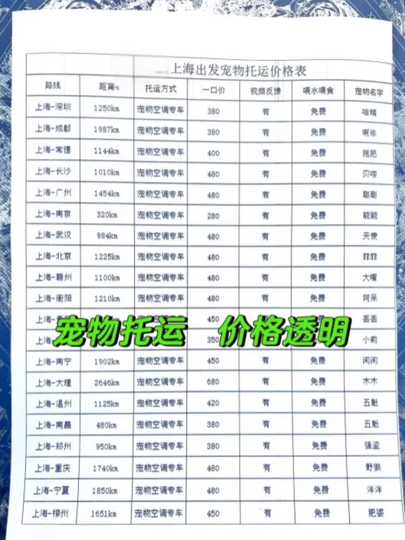 狗狗航空托运多少钱