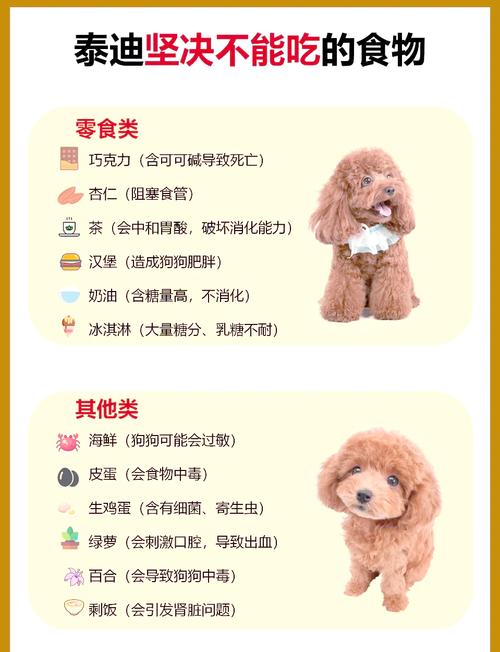 泰迪可以喝酸奶吗