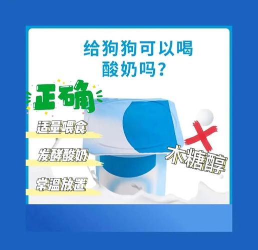 泰迪能不能吃酸奶