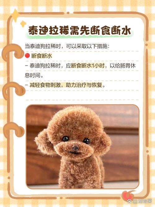 求助!泰迪犬拉稀的时候能够吃什么改善?