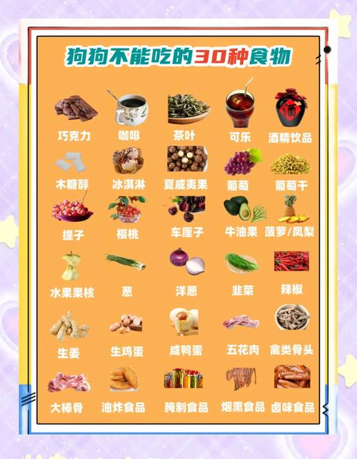 狗狗不能吃的食物,看这一篇就够啦