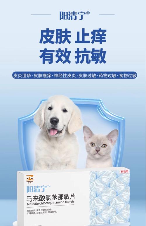 狗狗过敏吃什么药能快速消肿?