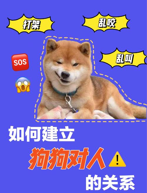 怎么样让狗狗信任你?