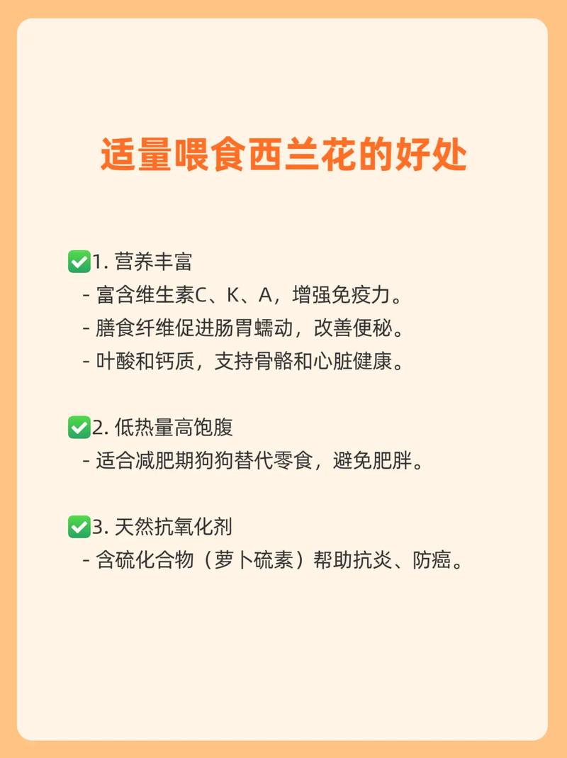 西兰花可以给狗狗吃吗