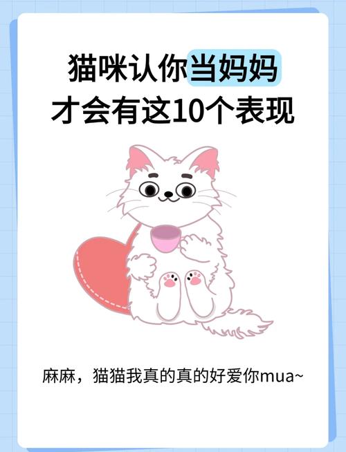 猫咪把你当亲人的表现