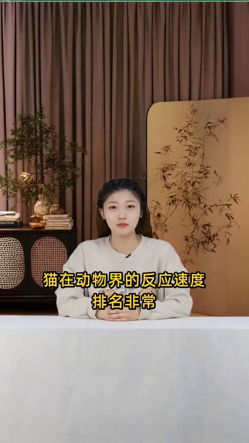 猫的反应速度在动物界排名多少