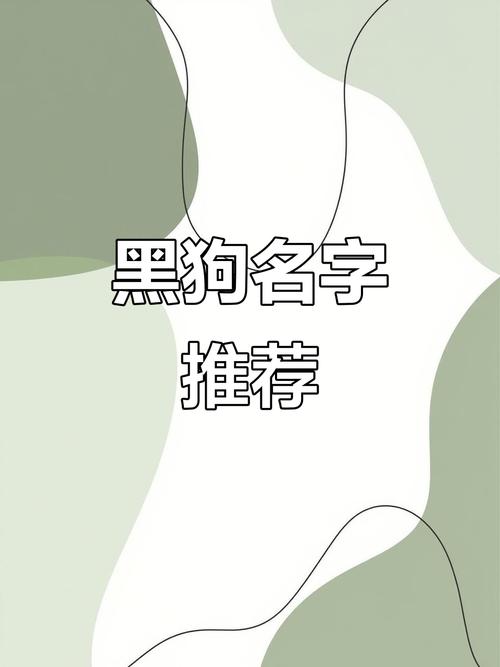黑狗取什么名字最吉利