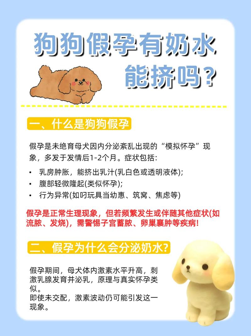 母狗一般多大可以生小狗