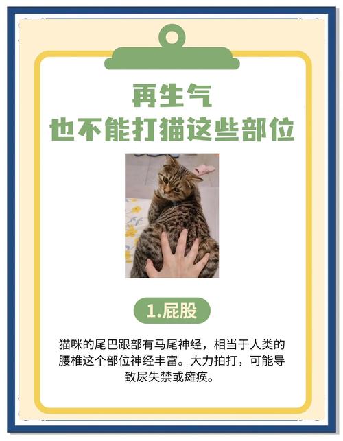 为什么不能打猫咪的屁股?