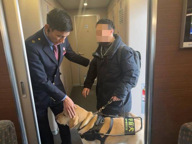 带狗狗坐火车怎么过安检