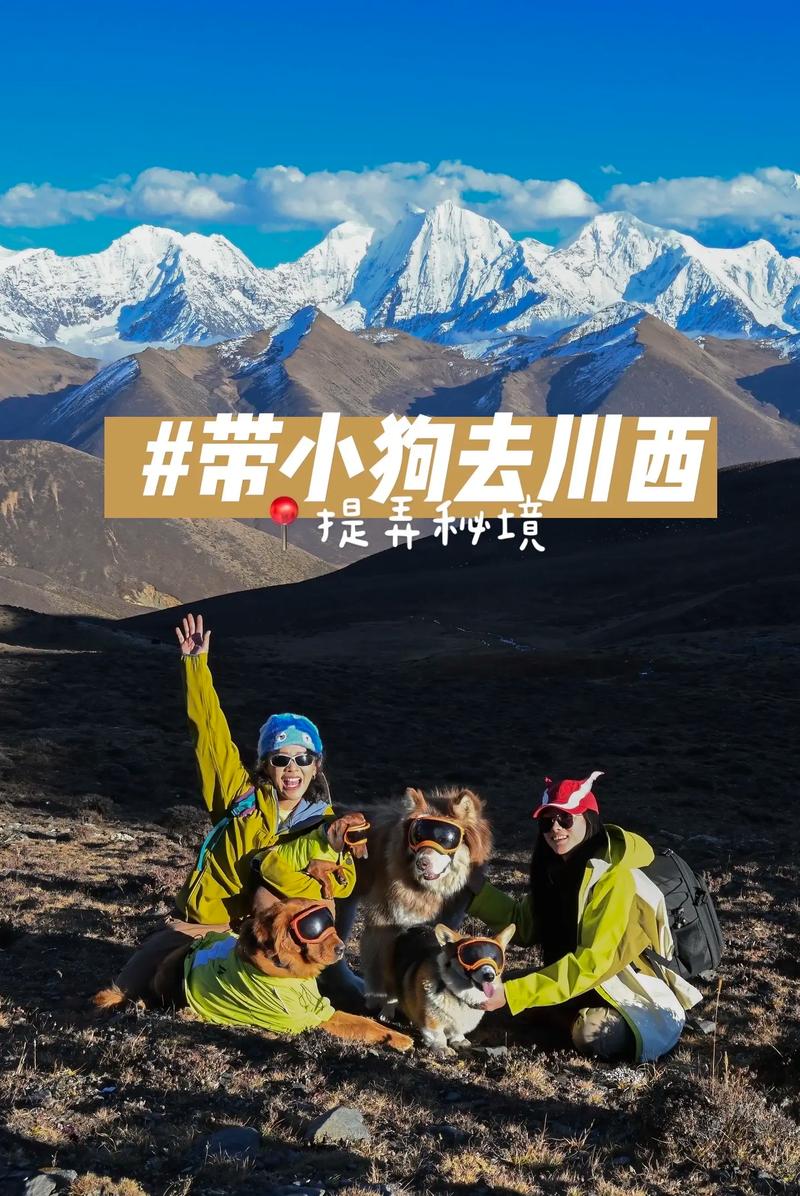 川藏自驾可以带狗狗吗