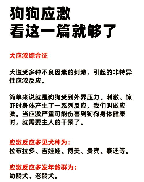 狗会不会高原反应?