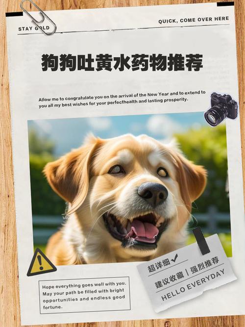 怀孕狗狗吐黄水拉稀吃什么药好?