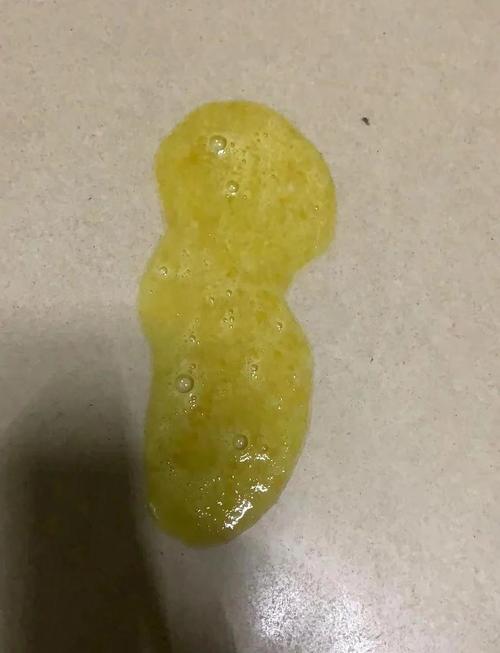 为什么狗狗快生了会吐黄水