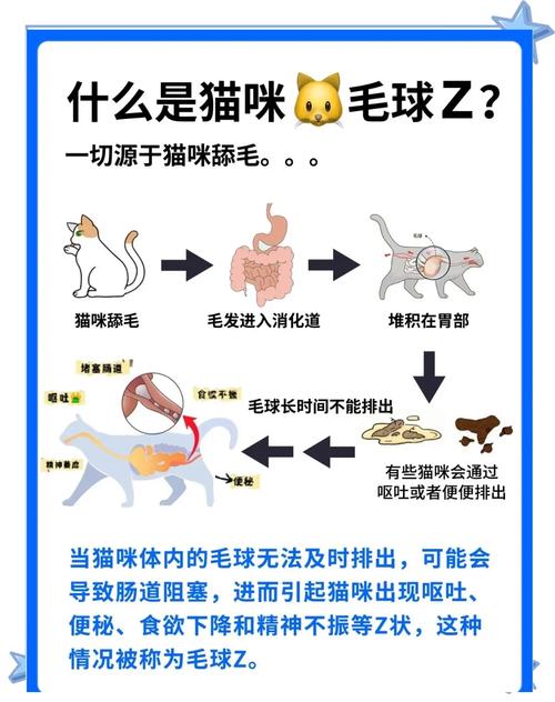给猫去毛球的方法有哪些?