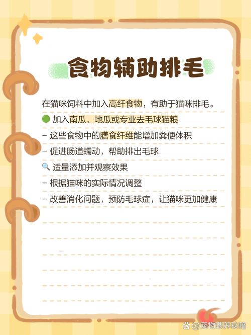 猫肚子里的毛球排不出去咋办