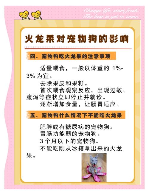 狗狗可以吃火龙果吗