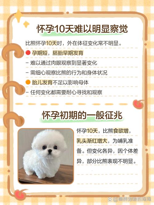 怎么判断狗狗怀孕了