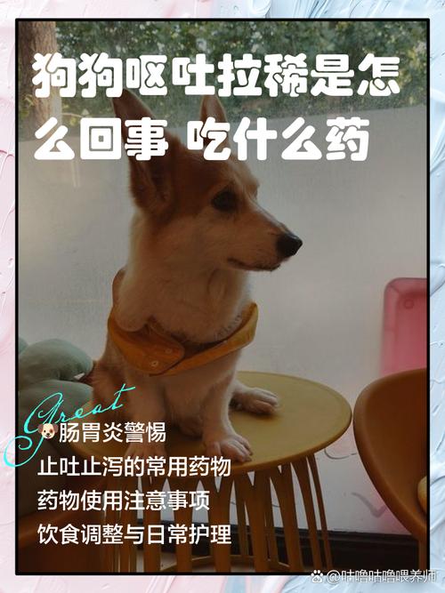 小狗早上没吃饭又拉又吐怎么回事