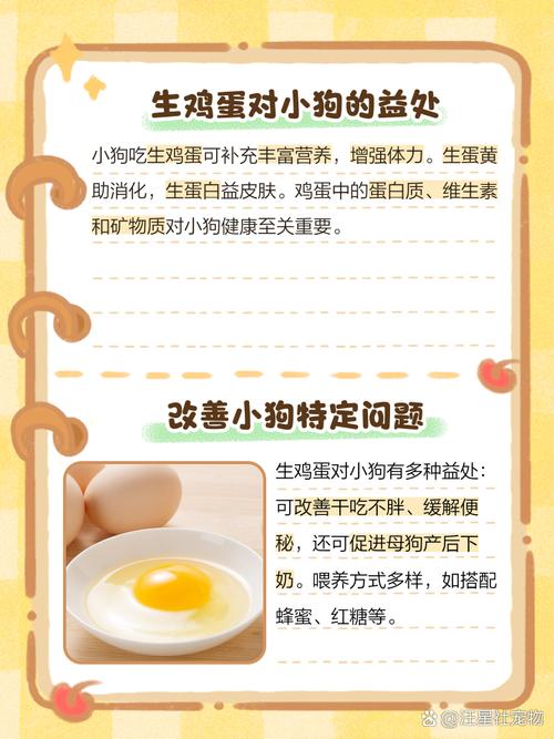 狗狗吃了生鸡蛋怎么办