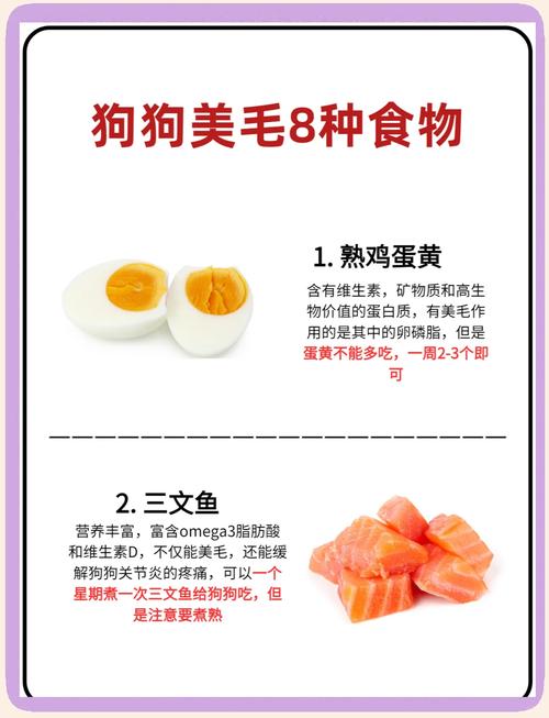 狗狗吃什么对毛好