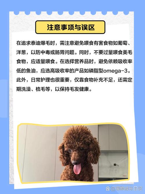 狗狗吃什么爆毛增毛效果比较好