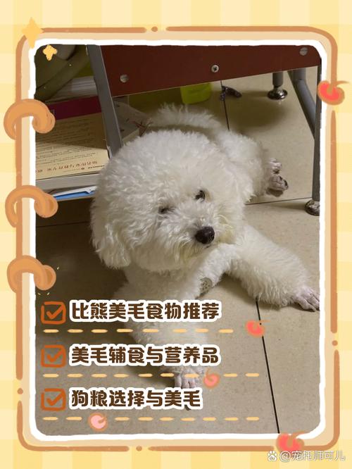 狗狗吃这些食物,可以缓解掉毛!