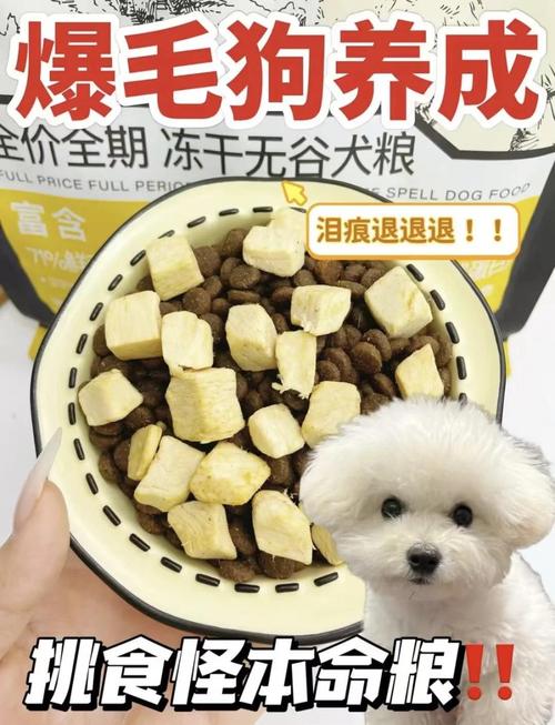 狗狗吃什么可以爆毛