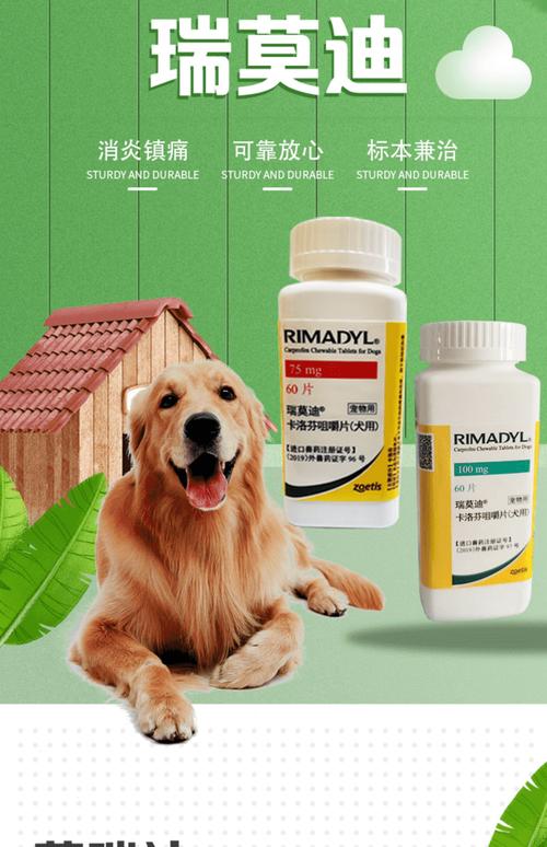 狗狗的腿被车撞了,会自愈吗?