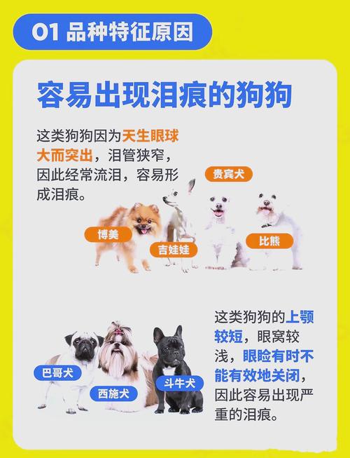 狗狗泪痕严重是体内缺什么吗