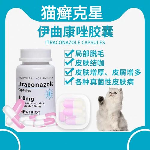 猫咪得了皮肤病怎么办