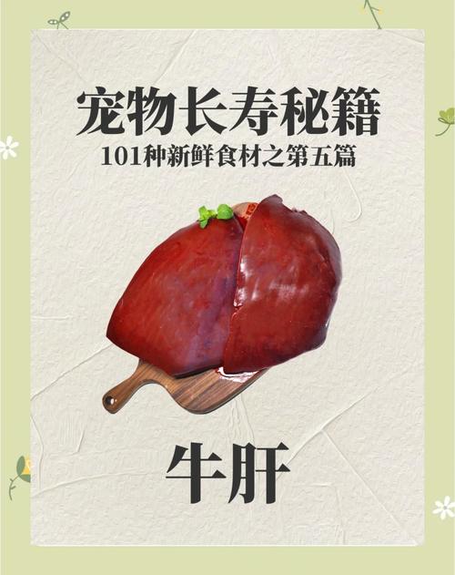牛肝怎样弄给狗狗吃