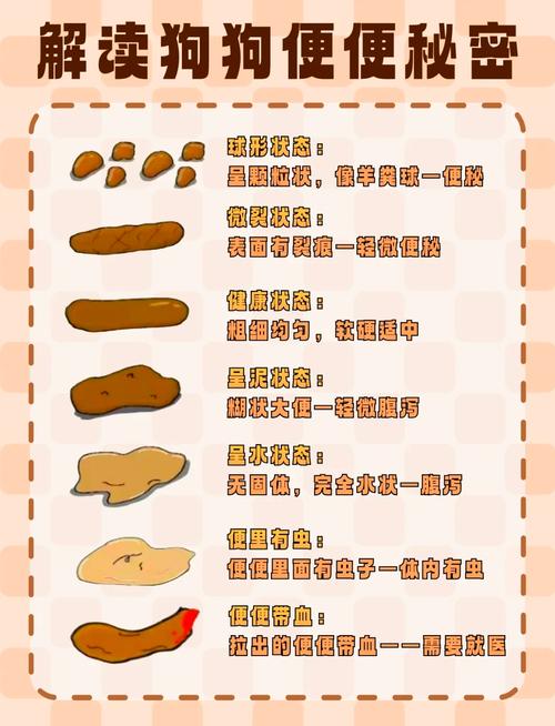 为什么狗狗细小便便腥臭