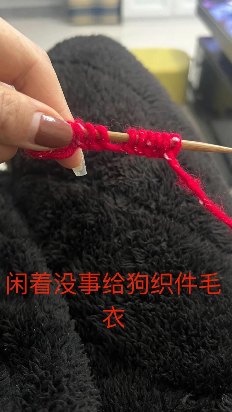 宠物四脚毛衣编织方法
